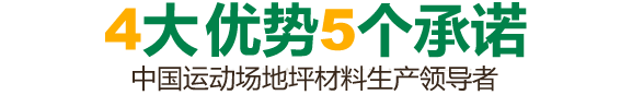 4大优势5个承诺